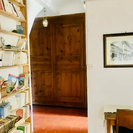 Sous Le Carmel Exactement * Les Vans