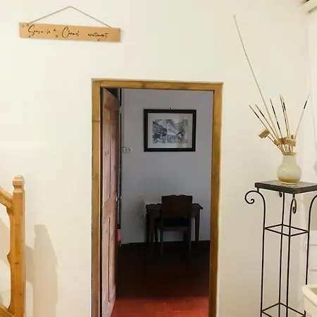 Sous Le Carmel Exactement Les Vans